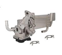 Modulo EGR NRF 48209 per VW MULTIVAN T6 (SGF, SGM, SGN, SHM, SHN) 2 2015-2019