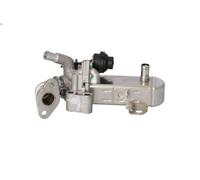 Modulo EGR NRF 48212 per NISSAN PATHFINDER III (R51) 2.5 2005-201
