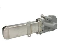 Modulo EGR NRF 48359 per AUDI A4 B8 (8K2) 2 2007-2015
