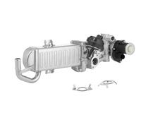 Modulo EGR per AUDI SEAT SKODA VW A3 ALHAMBRA ALTEA ALTEA XL BEETLE CADDY CADDY