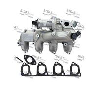 Modulo Egr Sidat 83.1045 per Ford Standard Automobile