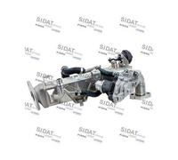 Modulo Egr Sidat 83.1661 per Bmw