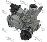 Modulo EGR SIDAT per Audi, Vw