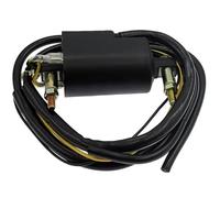 Modulo Igniter scatola Per CB350F Per CB400F Per Per Sport Per CB500K Bobina Accensione Moto Bobine CDI 12V 30501-323-003 30502-323-003 Bobina Accensione