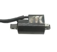 Modulo Igniter scatola Per Suzuki Per GSF400 Per GSF600 Per GSF1200 Per Bandit 2 Pezzi Bobina Accensione Bobine Accensione CDI 12V Bobina Accensione