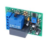Modulo Interruttore di Ritardo Timer Ingresso/uscita AC220V Temporizzazione Regolabile Spegnimento Scheda (Da 0 a 100 minuti)