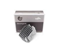 Modulo LED indicatore di direzione MERCEDES Class S (W222 V222 X222)