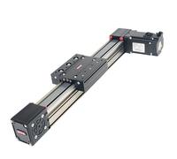 Modulo lineare RXP50 Modulo cinghia lineare Servomotore for di guide lineari con carico utile pesante da 100mm-5500mm(With 400W Servo,RXP50X-600mm)