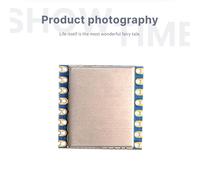 Modulo LoRa per la misurazione della portata a 2,4 GHz LORA1280-TCXO