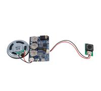 Modulo Musicale 17 Minuti Suono Voce Audio Per Biglietto D'Auguri Fai Da Te