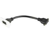 Modulo Pannello Muro Socket DisplayPort, 50x25mm - AV:LINK