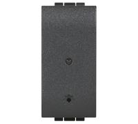 Modulo per Presa Connessa Bticino Living Light colore Antracite L4531C