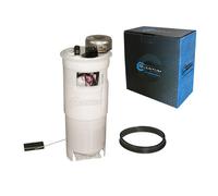 Modulo Pompa Carburante Dodge Ram 1500 + Unità Di Invio 1998-2001