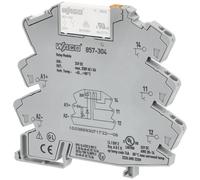 Modulo Relè Montabile Su Din Rail WAGO 857-304 24VDC 6A SPDT-CO