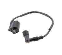 Modulo scatola CDI accensione Applicazioni: accessori per accensione motocicletta Bobina di accensione CDI per moto Cavo di accensione di ricambio per PW50