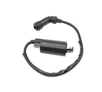 Modulo scatola CDI accensione Bobina di accensione per motocicletta per Suzuki DR125 DR200 DR200SE TU125 GN125 GS125 DF125 DF200 EN125 33410-14F00 33410-14F00 33410-05360