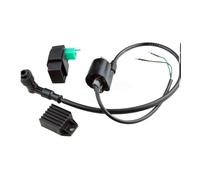 Modulo scatola CDI accensione Regolatore raddrizzatore bobina di accensione CDI box per ATV Quad 50cc 70 90cc 110cc 125cc per moto scimmia