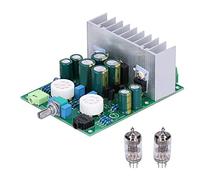 Modulo scheda amplificatore di potenza con PCB audio digitale con tubi radio 6J1
