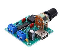 Modulo Scheda Amplificatore USB Circuito di Protezione Surriscaldamento Integrato PM CM2038 DC2-6V Accessori Professionali