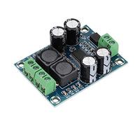 Modulo scheda mini amplificatore Amplificatore mono con chip principale TPA3118 Altoparlanti a resistenza interna di grandi dimensioni