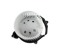Modulo Soffiante Interno 2 Poli METZGER 0917839 12V Per CITROËN BERLINGO