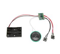 Modulo sonoro programmabile regalo creativo, voce forte e chiara con altoparlante grande da 25 W per biglietti di auguri vocali fai da te, suono