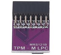 Modulo TPM 2.0, EVTSCAN TPM 2.0 Modulo LPC 14pin Scheda di sicurezza di crittografia della scheda remota Accessorio per ASUS
