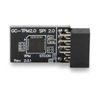 Modulo TPM2.0 a 12 Pin, Chip Sostitutivo Adatto a Varie Schede Madri di Tipo Memoria DDR4