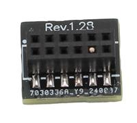 Modulo TPM2.0, Modulo PCB SPI 12 Pin con INFINEON 9670, Adatto per Scheda Madre 10, 11 TPM 2.0, Migliora la Sicurezza dei Dati e l'integrità del