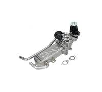 Modulo valvola EGR 19070 KAMOKA per AUDI SEAT SKODA BMW OPEL