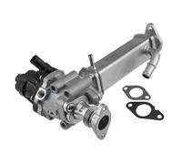 Modulo valvola EGR EGR-FT-017 NTY per FIAT DUCATO Furgone DUCATO Autobus