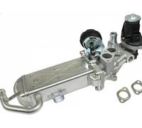 METZGER Modulo EGR