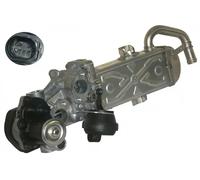 555374 Modulo EGR (MARCA-ERA)