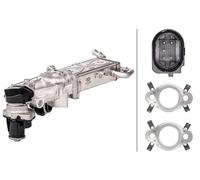 Modulo valvola EGR elettrico 6NU 358 167-021 HELLA per AUDI SEAT SKODA VW