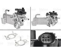 VALEO 700436 Valvola ricircolo gas scarico EGR Modulo EGR Modulo: YES Con bypass: YES Tecnologia: ELECTRIC Norme sulle emissioni dei gas di scarico