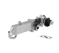Valvola EGR WAHLER WA710861D