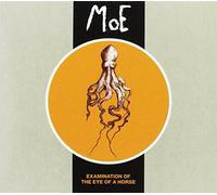 Moe - Examination Of The Eye Of A Horse