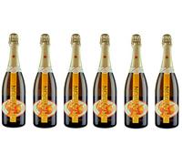Moët & Chandon Garden Spritz 75 cl 11.5% (6)