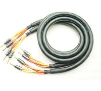 MOGAMI 3104 2 paia di cavi per altoparlanti in rame berillio placcato oro 24K...