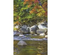 Moher Puzzles Numbers and Mazes Volume 201 - 170 Total Puzzles - Sudoku, Nurikabe, Kakuro with Bonus Mazes including Solutions: Compact 5x8 Size with River Fall Foliage Cover and Leaf Interior Theme