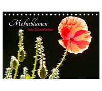 Mohnblumen - rote Schönheiten (Tischkalender 2026 DIN A5 quer), CALVENDO Monatskalender: Wundervolle Aufnahmen von Mohnblumen die verzaubern