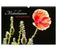 Mohnblumen - rote Schönheiten (Wandkalender 2026 DIN A3 quer), CALVENDO Monatskalender: Wundervolle Aufnahmen von Mohnblumen die verzaubern