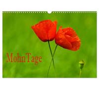MohnTage (Wandkalender 2026 DIN A3 quer), CALVENDO Monatskalender: Mohnblumen sind vielseitige, atemberaubende Pflanzen - der Kalender zeigt die außergewöhnliche Vielfalt dieser Blumenart.