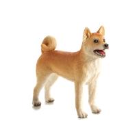Mojo Cane Shiba-Inu