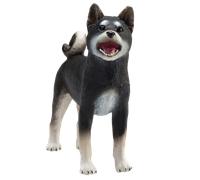 Mojo cane Shiba Inu nero