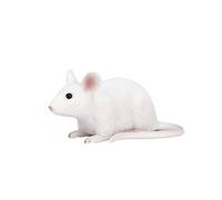 MOJO Mouse Pet Farm Animal Model Toy Figure