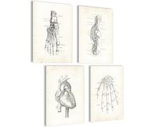 Mojoliving Set di Poster Anatomici Con Scheletro - Immagini per Camera da Letto, Decorazione Estetica Vintage, Room Decor