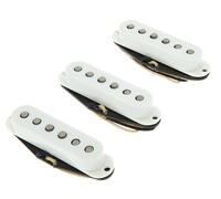 Mojotone Crandellcaster 62 ST Set W