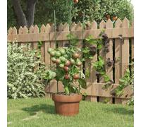 Mokuyary Tubi di Estensione, Pali da Giardino, Tutor per Piante Supporti Piante Giardino con 3 Anelli 5 pz Acciaio Verde 60 cm