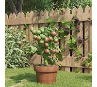 Mokuyary Tubi di Estensione, Pali da Giardino, Tutor per Piante Supporti Piante Giardino con 3 Anelli 5 pz Acciaio Verde 45 cm